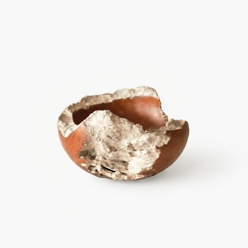 Wooden Bowl '栂瘤・漆塗り'｜西 優樹｜インテリア雑貨のオンライン